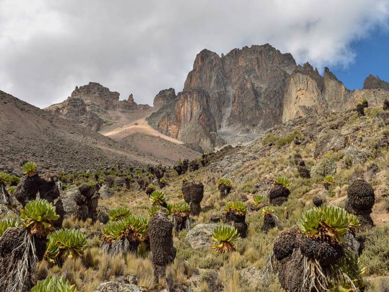 Mount Kenya’s Peaks Mount Kenya - peaks