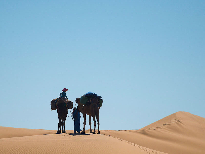 Family Sahara trek