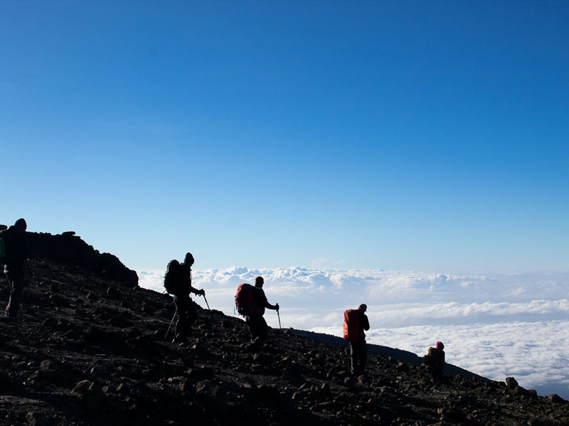 Kilimanjaro’s Northern Circuitern-circuit-800-port Trekking down after summiting Kilimanjaro