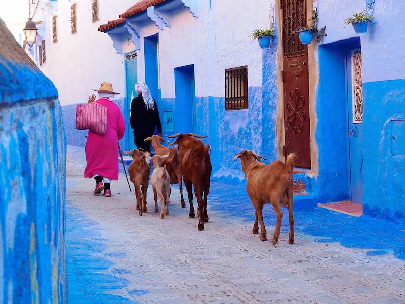 Morocco Beauty Tour, Chefchaouen Chefchaouen