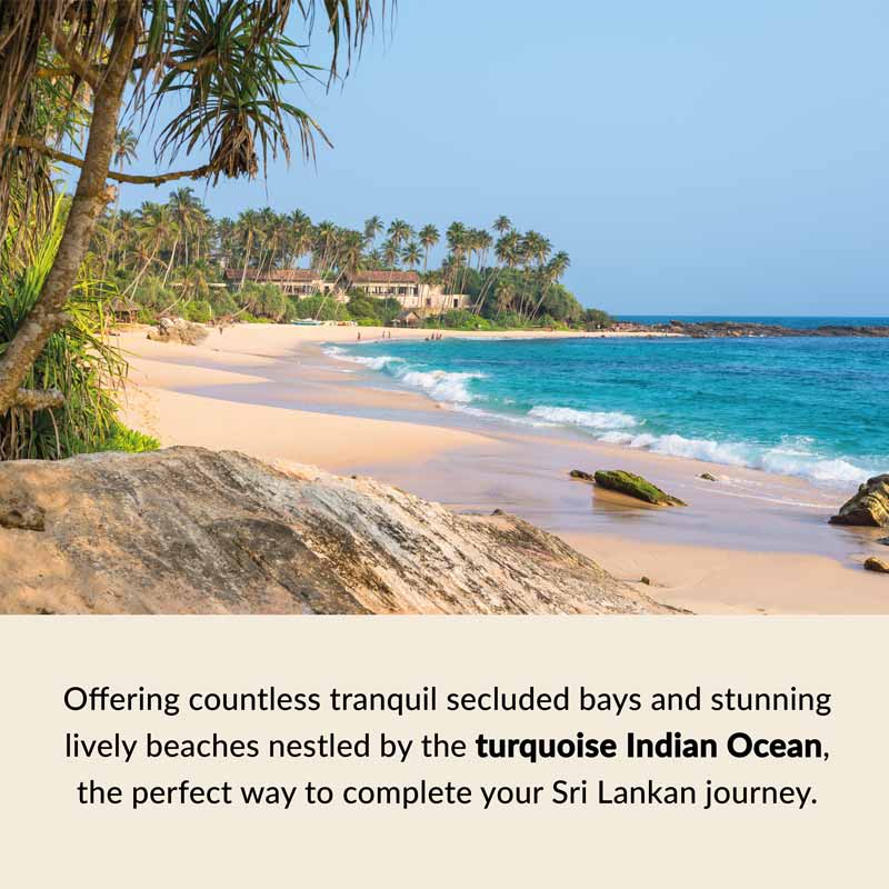 Sri Lanka Highlights – Indian Ocean beaches Pekoe trail, sri lanka
