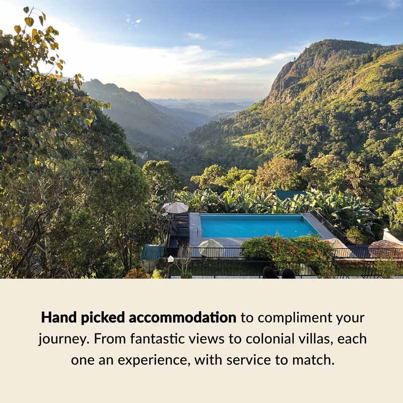 Sri Lanka Highlights – hand picked accommodation Pekoe trail sri lanka