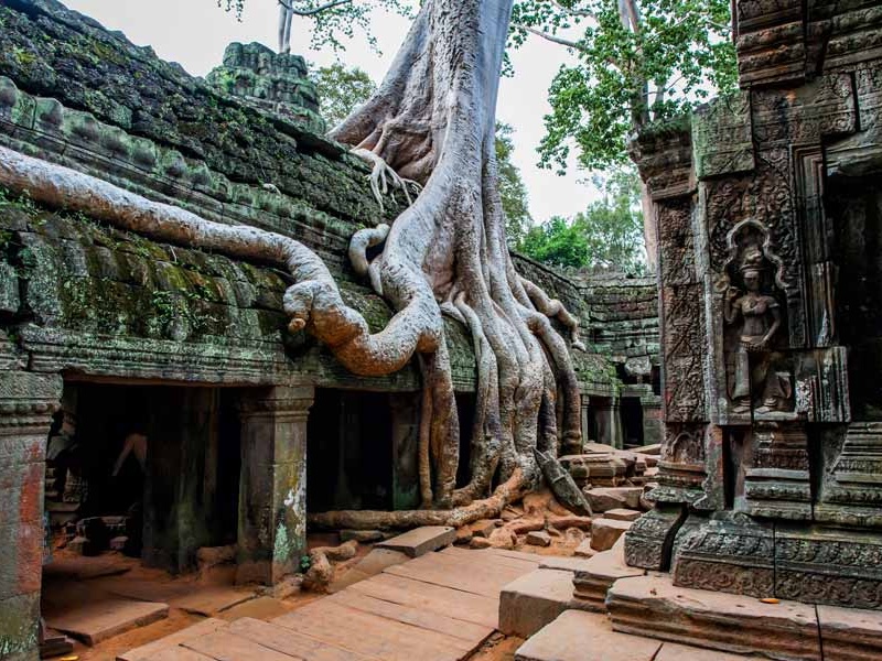 Vietnam Ta Prohm